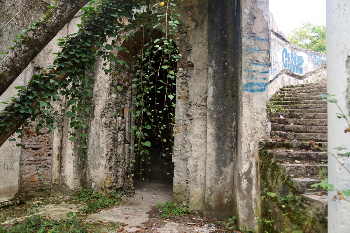 Зарастающие руины - Наталия Григорьева