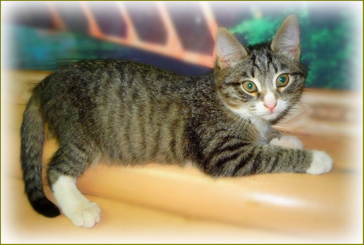 Маруся - Валентина Надсон