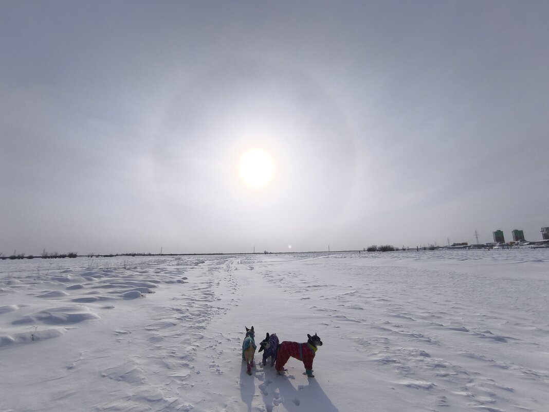 Последний день календарной зимы - Anna Ivanova