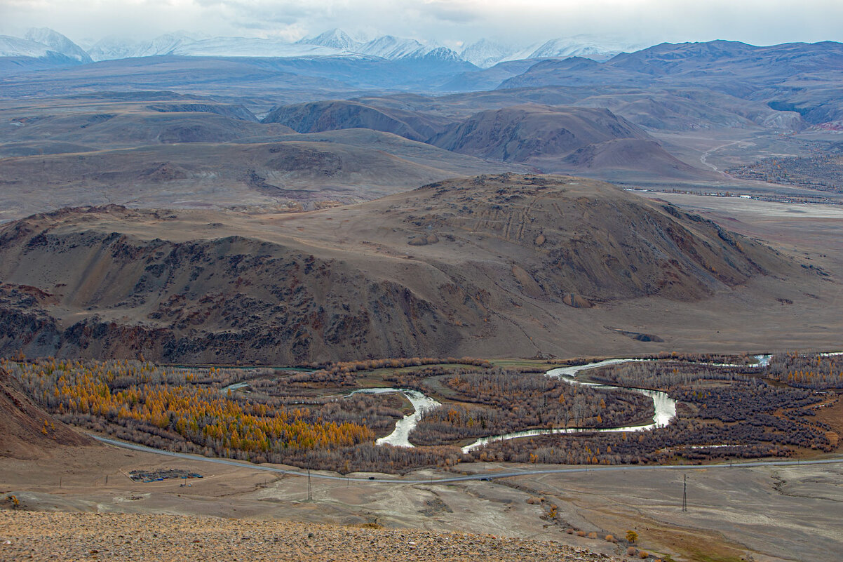 ***** - владимир 