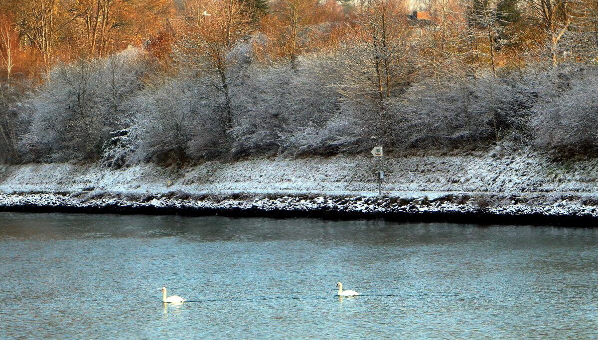 Первые заморозки - В.И 