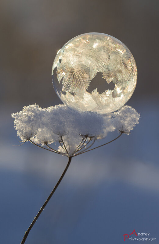 Пузырик - Андрей Пристяжнюк