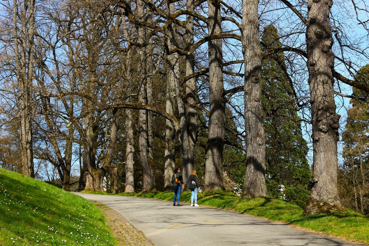 Весенние деньки - Юрий. Шмаков Весенние деньки - Юрий. Шмаков
