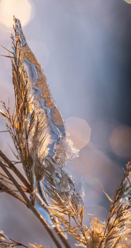 «Хрустальные осколки зимы». - Екатерина Счасная