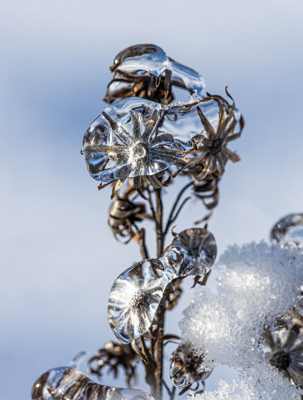 «Кристаллы зимы». - Екатерина Счасная