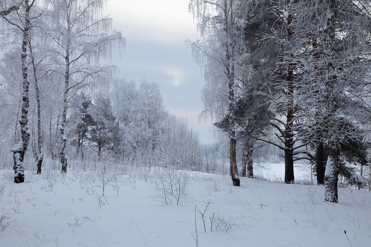 *** - Андрей Дурапов