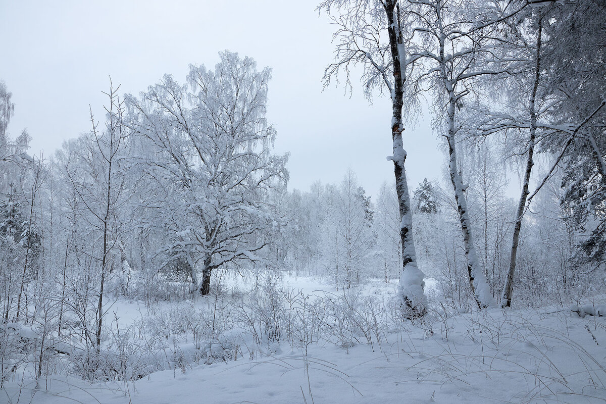 *** - Андрей Дурапов