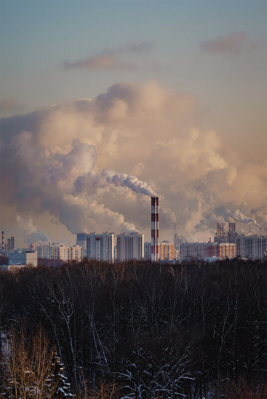 Вечерело - Michel 