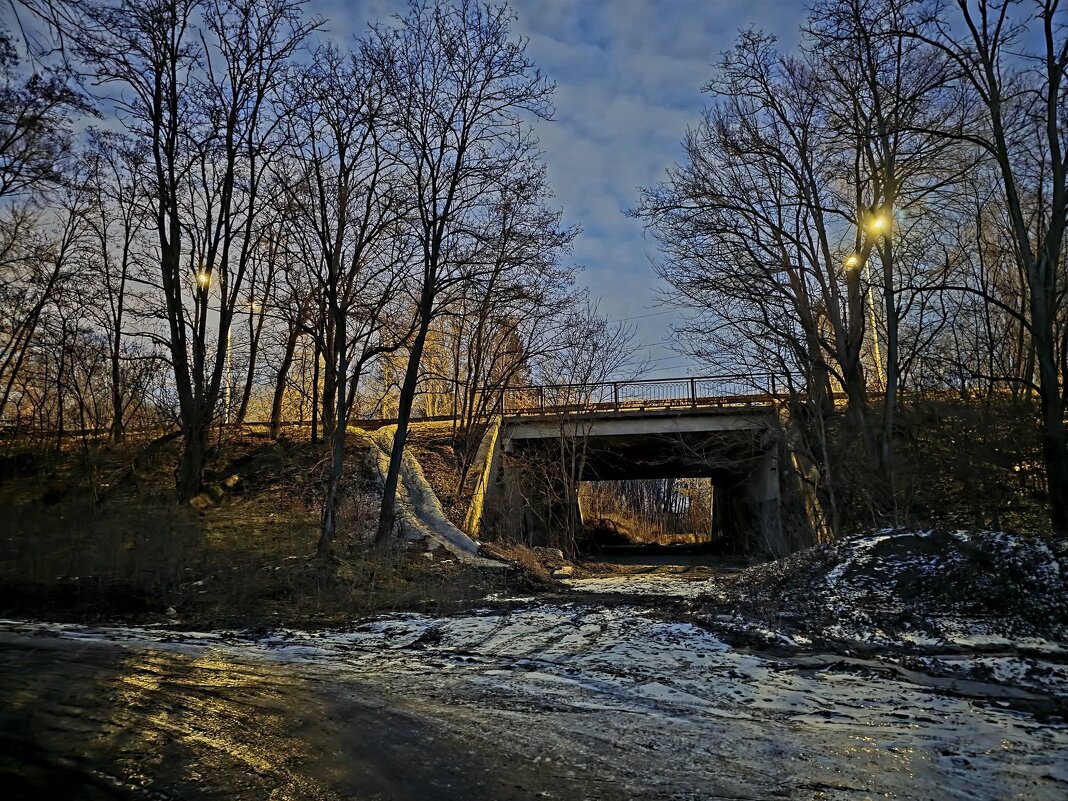 Портал в Неизведанное...) - Леонид Школьный