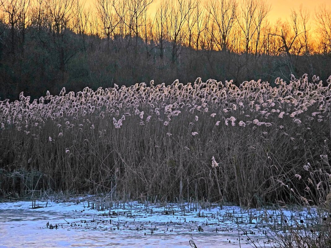 Ещё сюжет с озера Восьмёрка - очень уж мне приглянулся почему-то... - Леонид Школьный