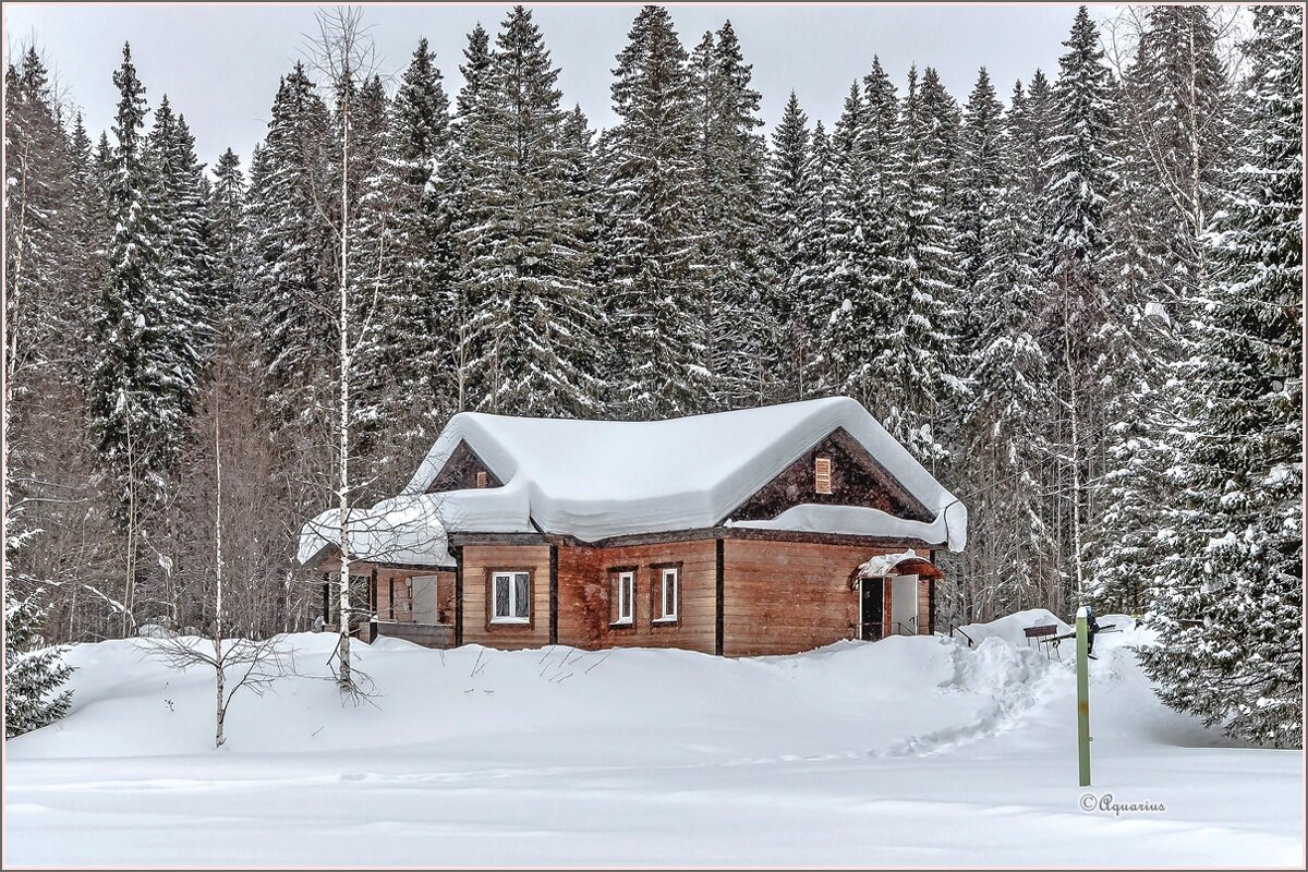 Февральским дём... - Aquarius - Сергей