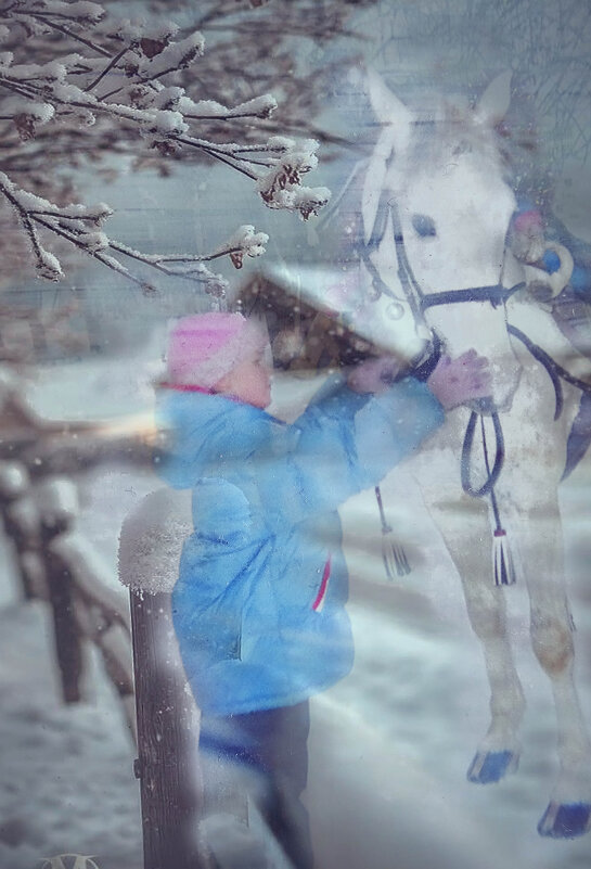 "Белая лошадка". - Журавлев Владимир 