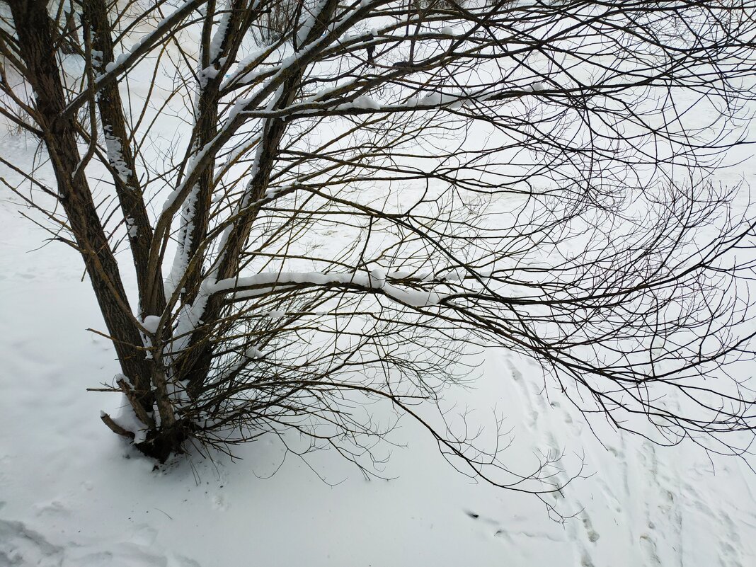 А вот почему-то нравится - Андрей Лукьянов