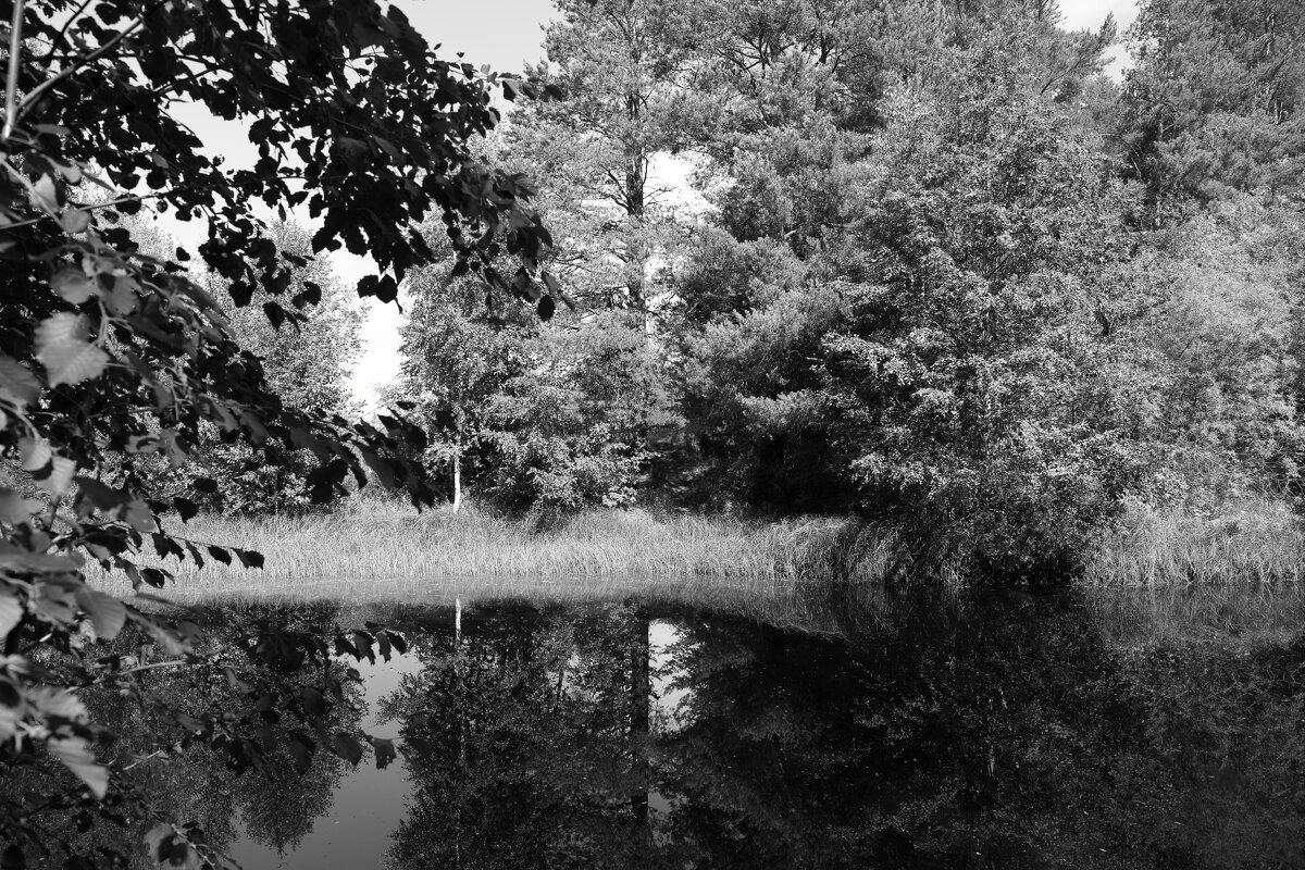 Фотография - Денис Безногов