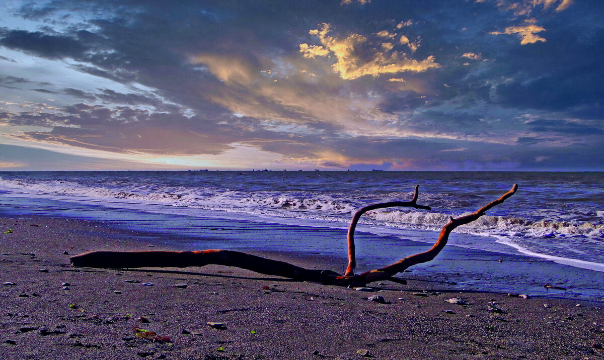 Дары шторма. - Марина Леонидовна