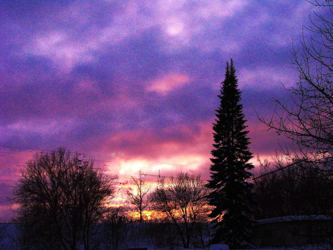 Февральский вечер - Людмила Смородинская