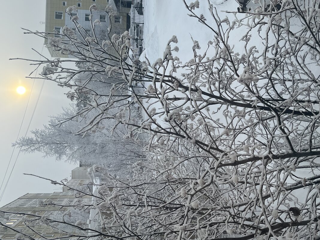 За окном - Эльвира Белянская