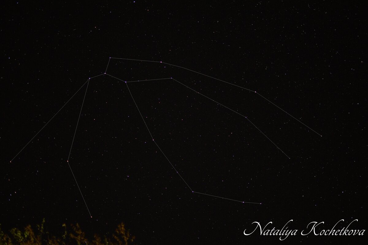 Природа Крыма - Amazing Cosmea