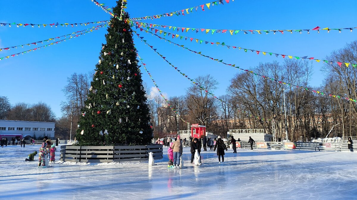 Все на каток! - Ольга 