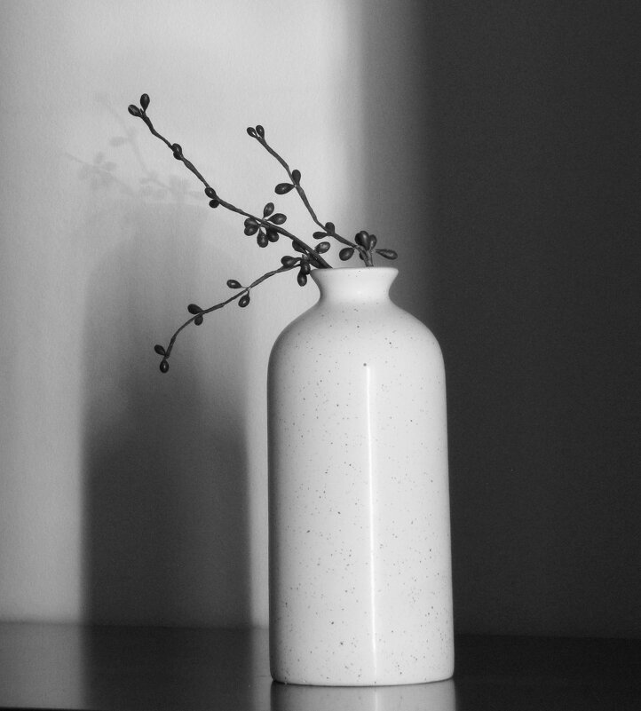 Свет и тень... - Татьяна Гнездилова