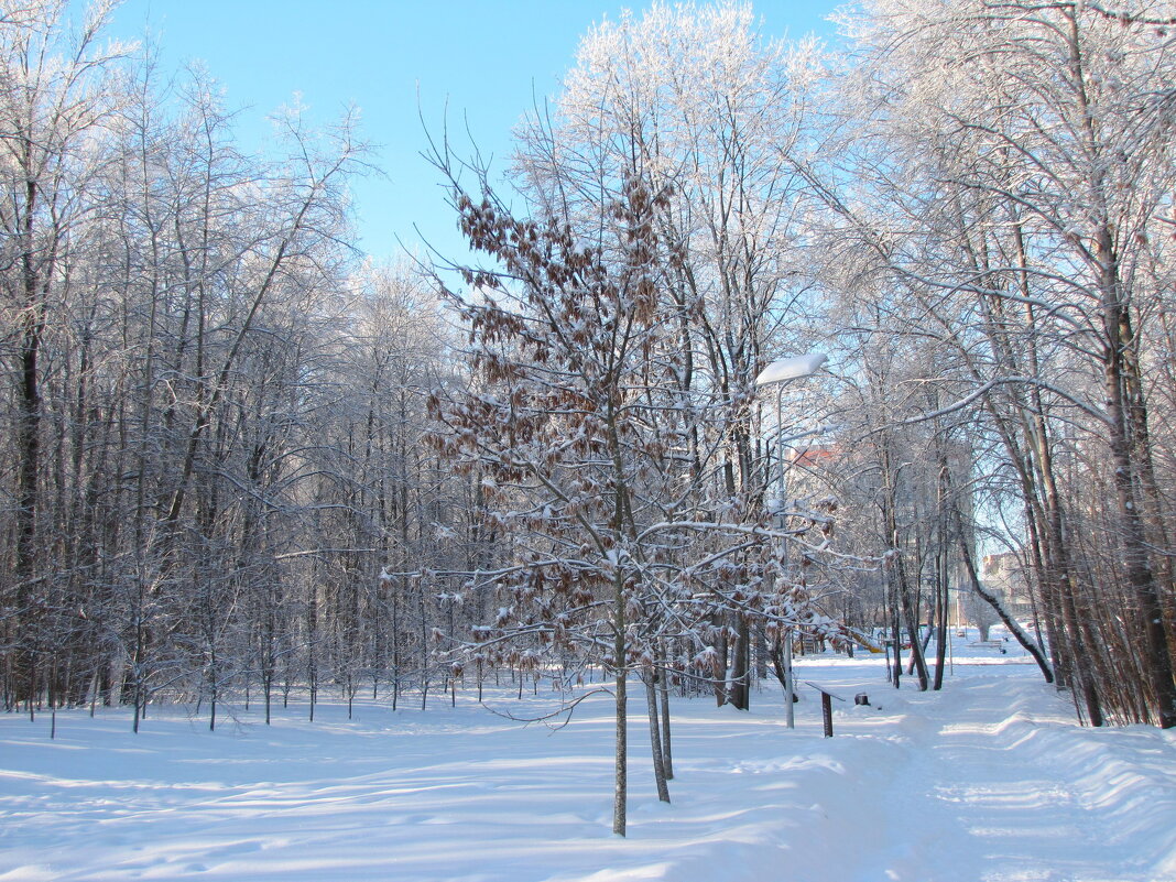 Зима... - Татьяна Гнездилова
