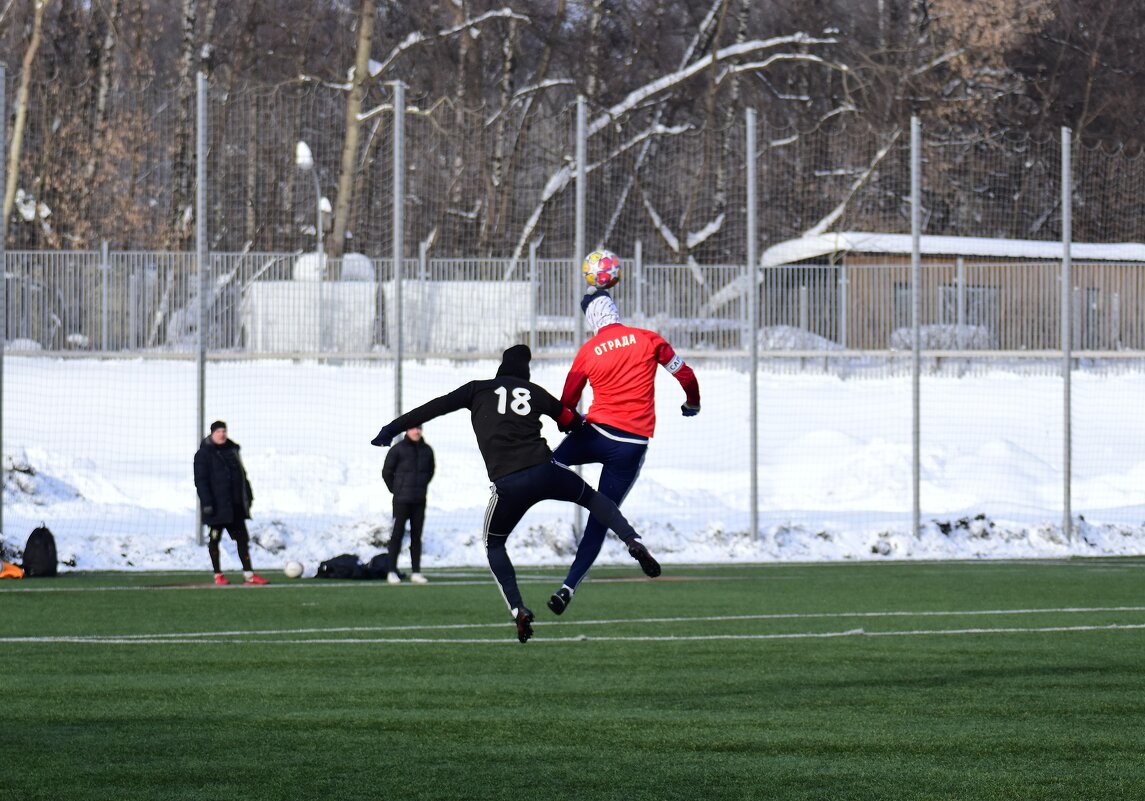 Первый. - Наталья Вязигина