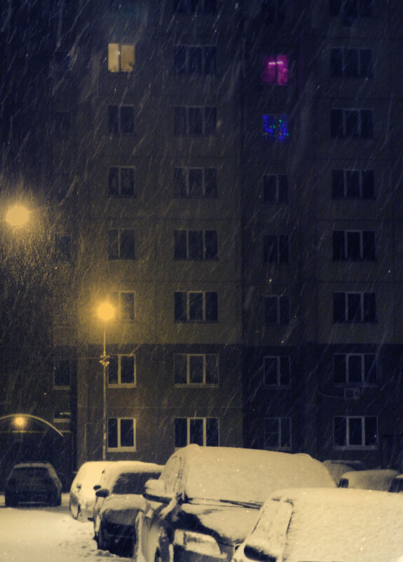 во дворе снегопад - Лера 