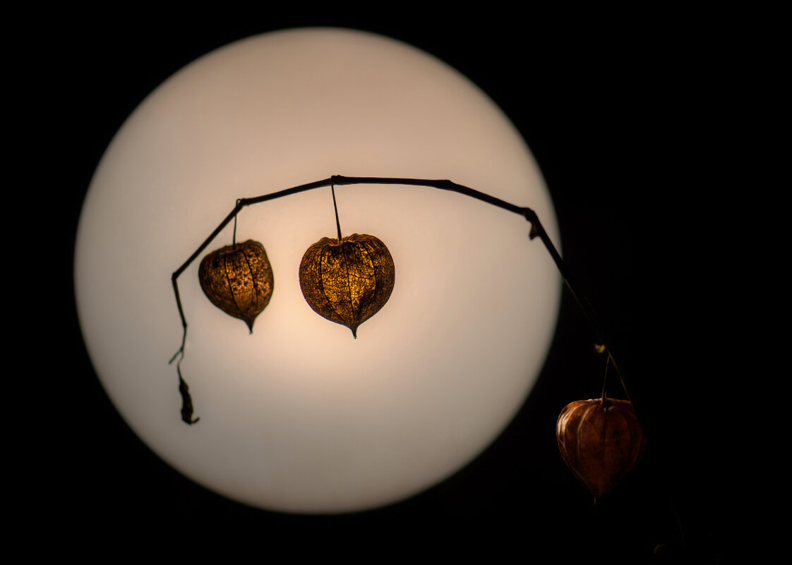 Ночь, улица, фонарь ... - Владимир 