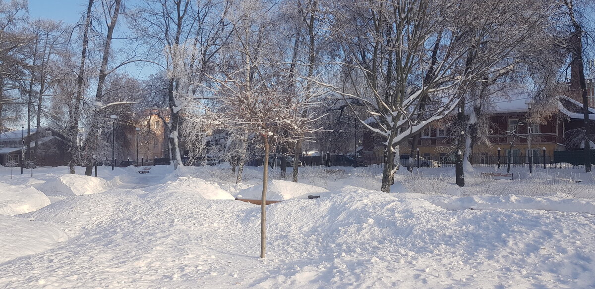 Зима - Galina Solovova