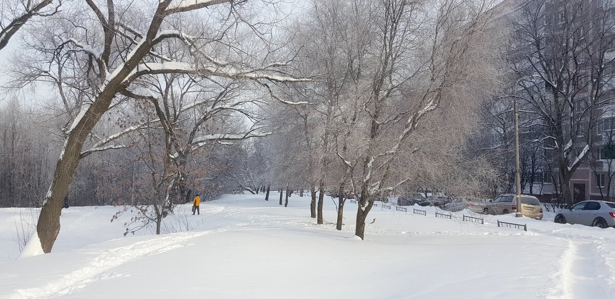 Зима в городе - Galina Solovova