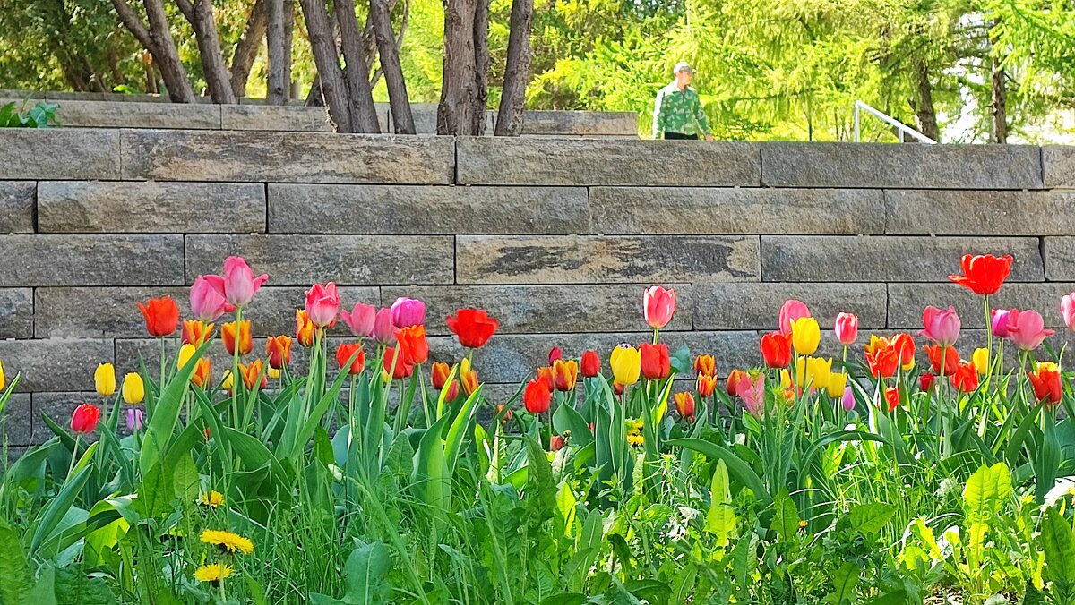 ,,, - Сергей Тимоновский