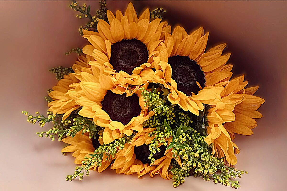 И потому, что день был так чудесен, — он улыбнулся вдруг  © - Hope 