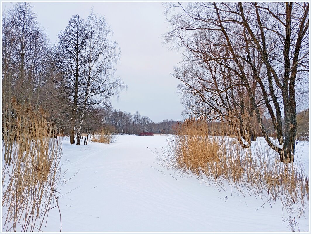"Я не люблю февраль, но я терплю его скупые в сером акварели..." - Лия ☼