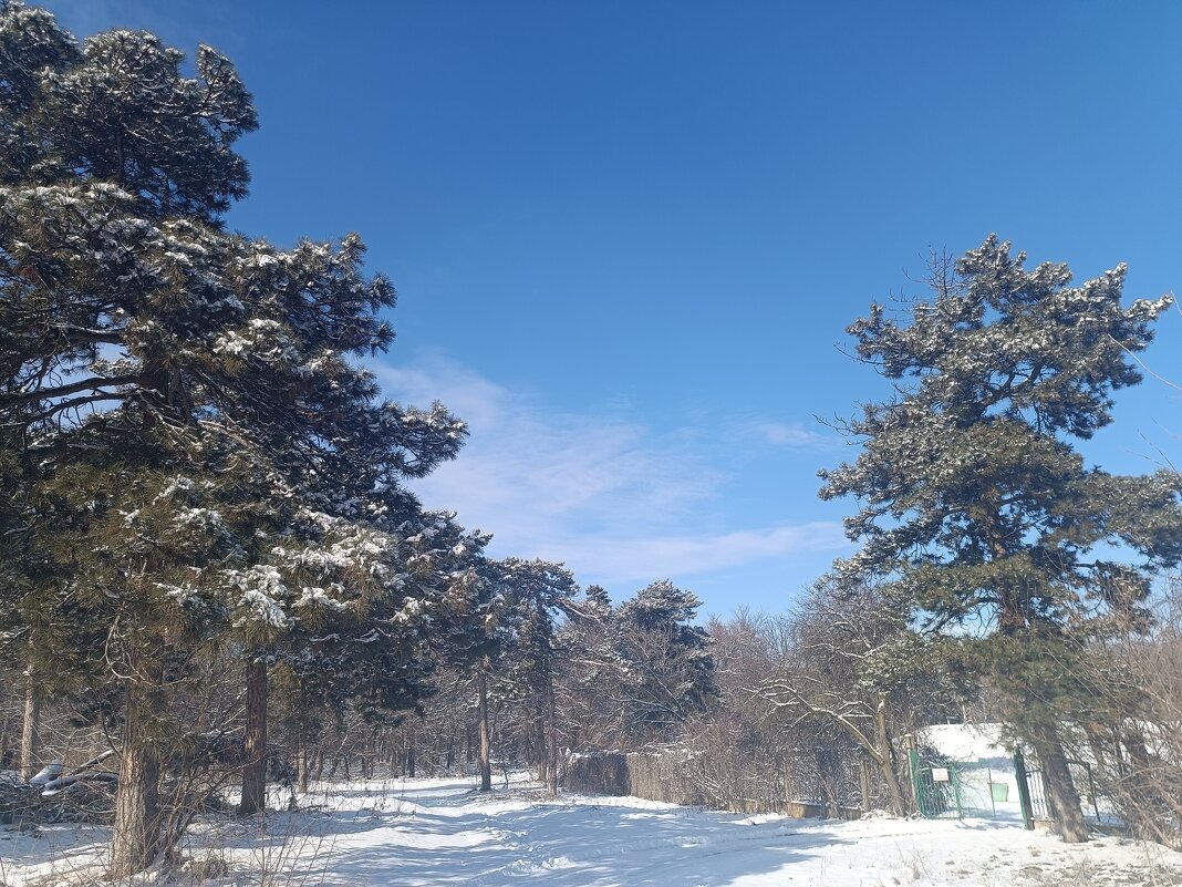 Никольский парк биофабрика прогресс - Слава коломойцев Владимирович