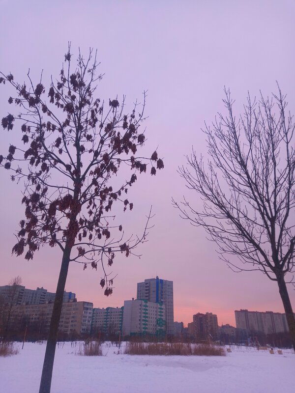 Закат - Сапсан 