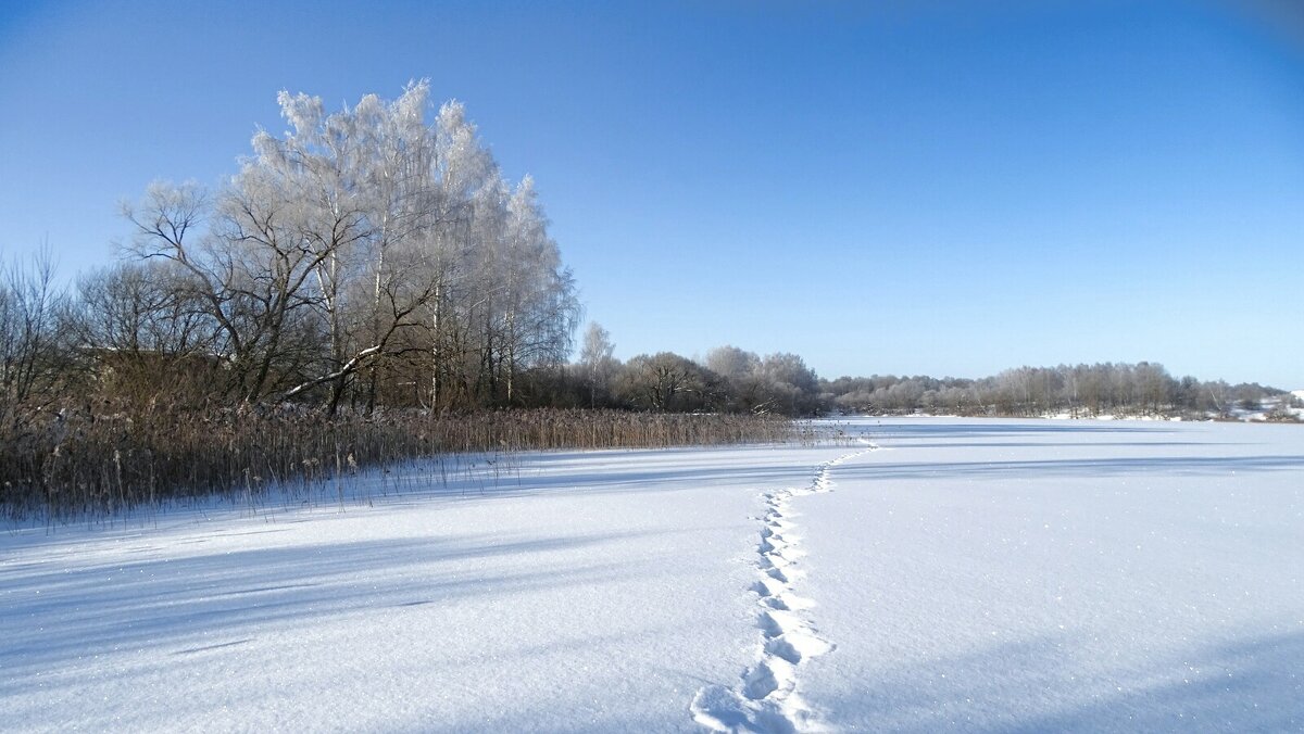 Мои следы - Милешкин Владимир Алексеевич 