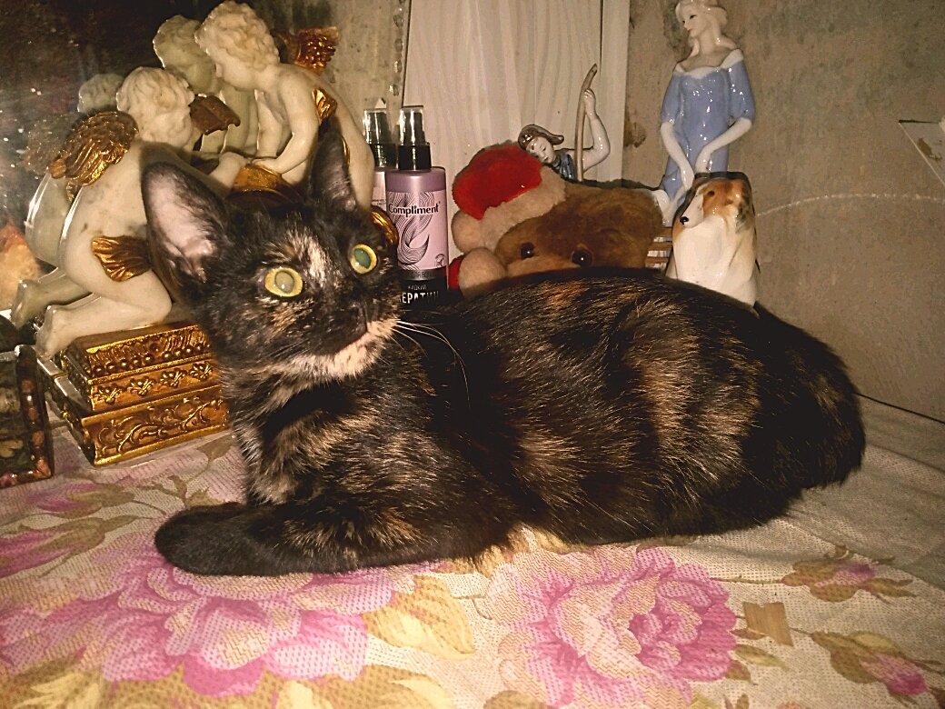 Принцэса - Сергей Кочнев