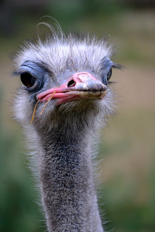 Перископ - ирина 