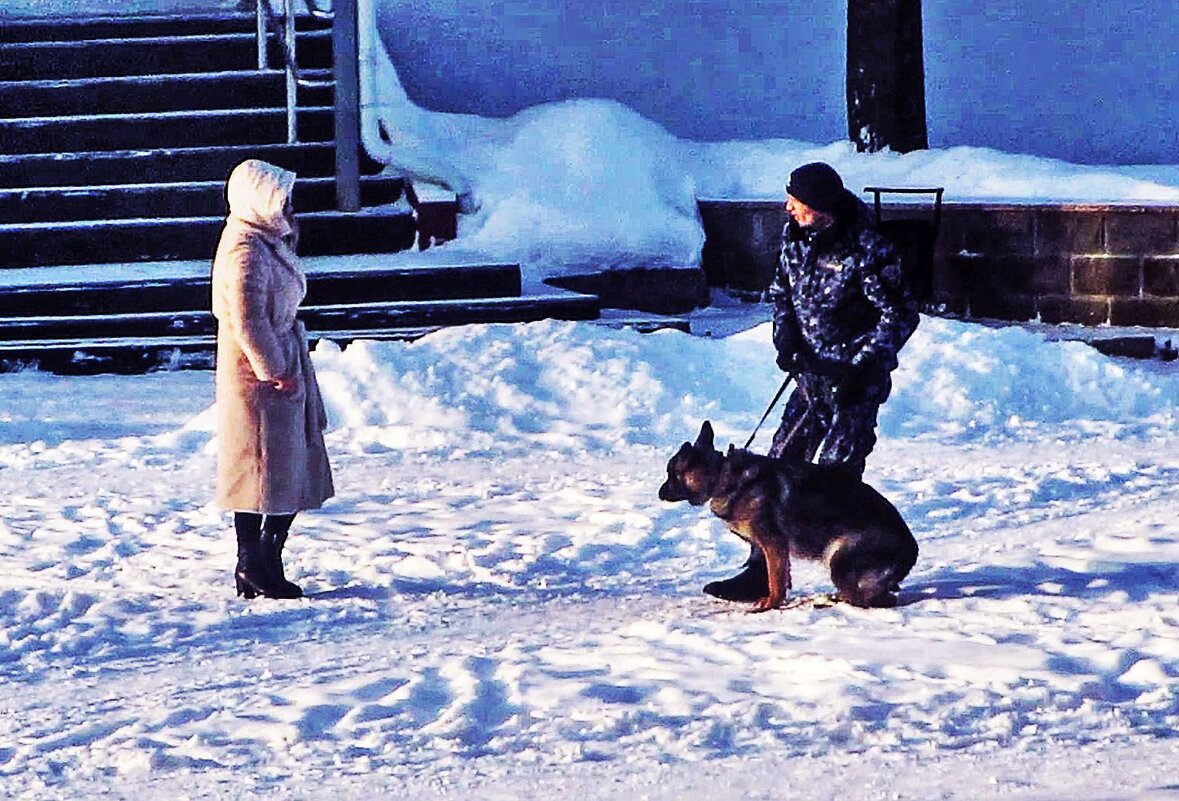 Не бойтесь! Он не кусачий! - Владимир 
