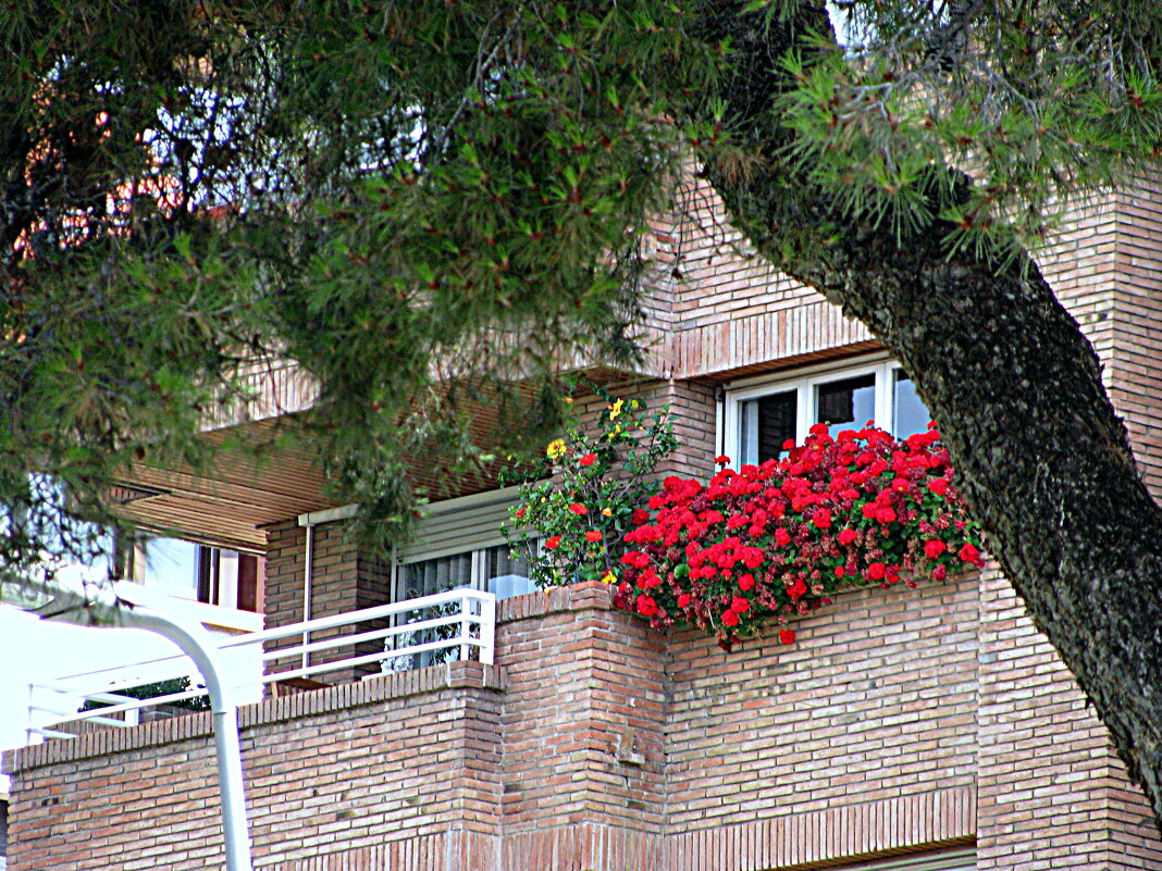 Барселона. - Владимир Драгунский