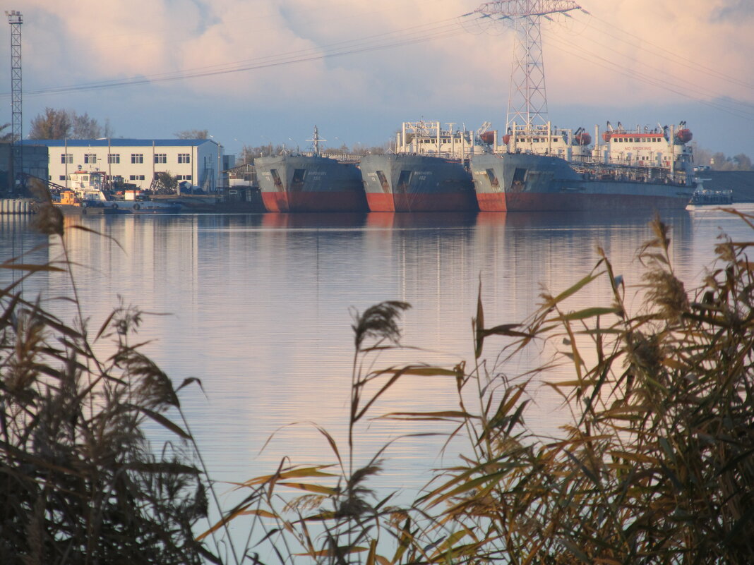 на набережной - Елена Шаламова