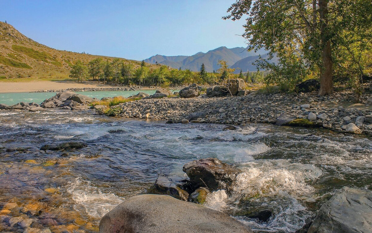 На кордоне - елена беликова