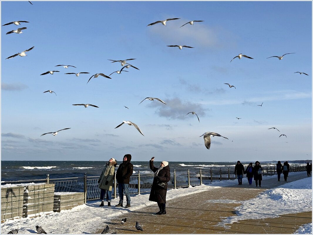 На променаде. - Валерия Комова