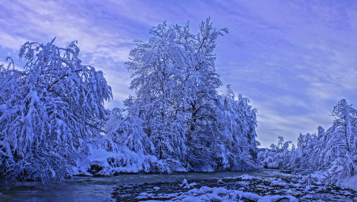 Новогоднее утро---03 - Владимир Холодный