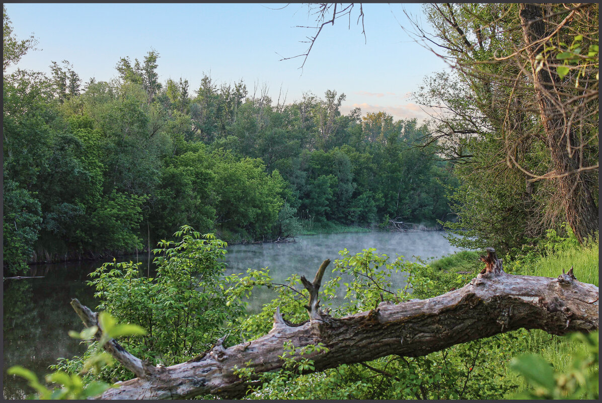 Река Калитва. - Александр. AVG100 ---
