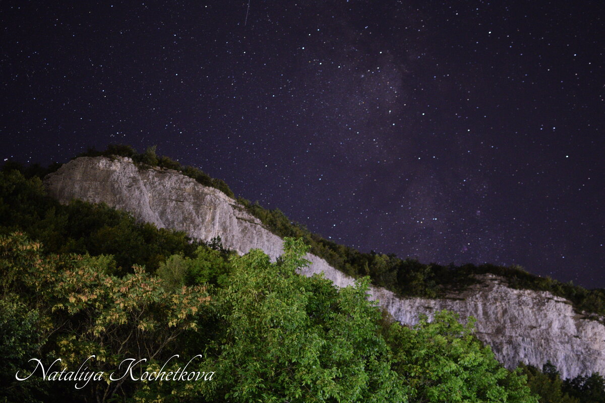 Природа Крыма - Amazing Cosmea