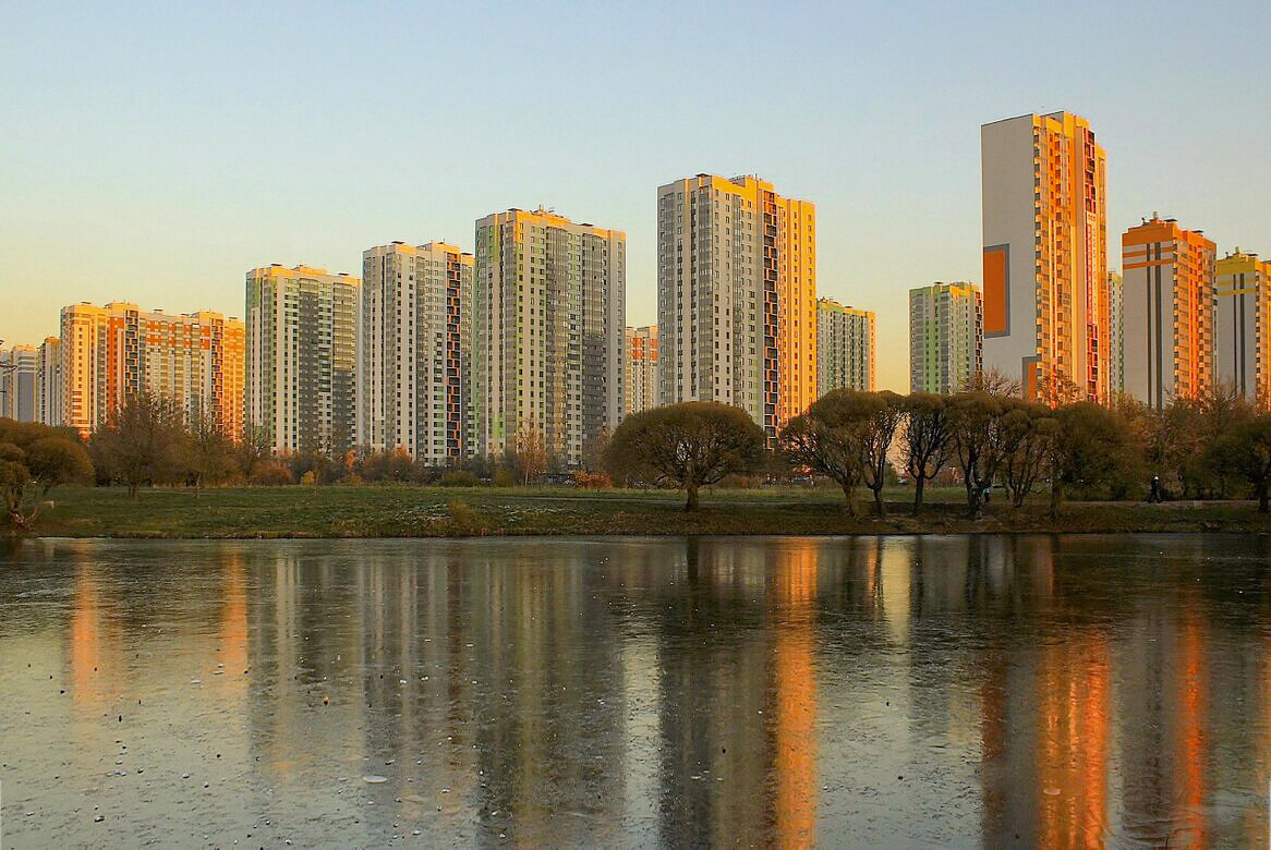 Купчино - елена беликова