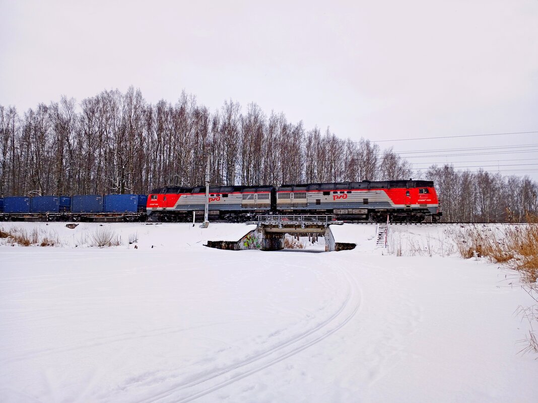 Нарисовался вдруг внезапно :-) - Лия ☼