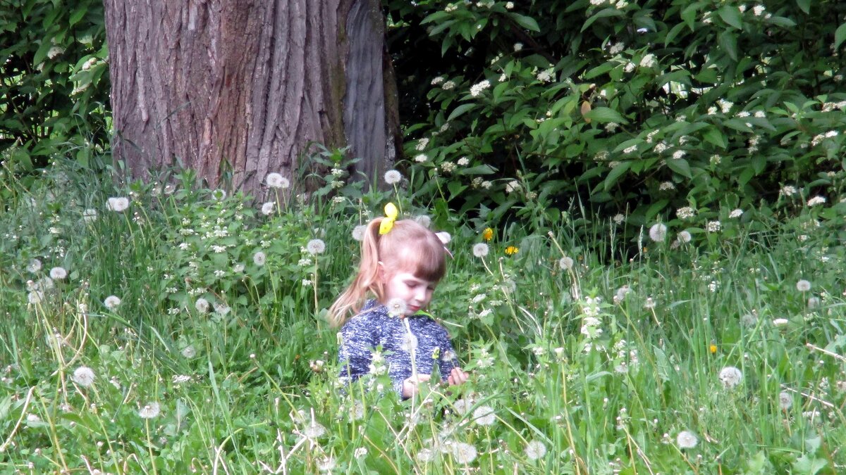 «Одуванчик» среди своих... - Михаил Андреев