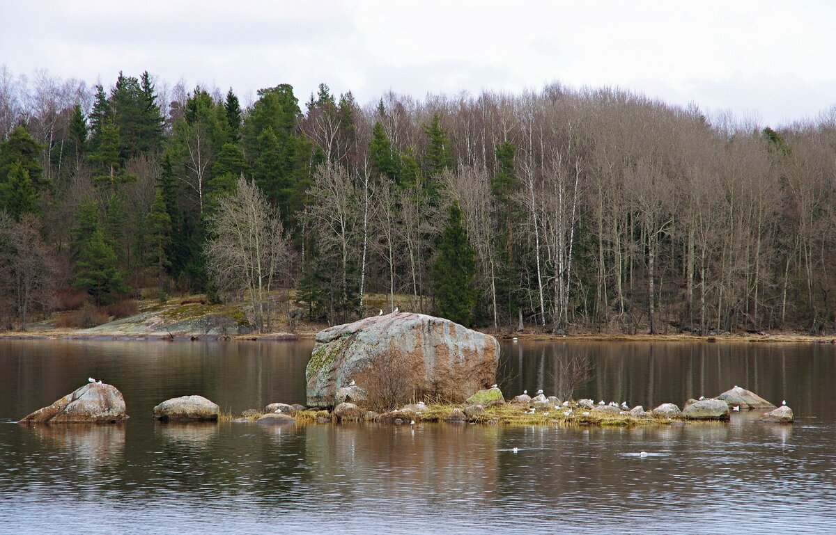 По шхерам - В.И 